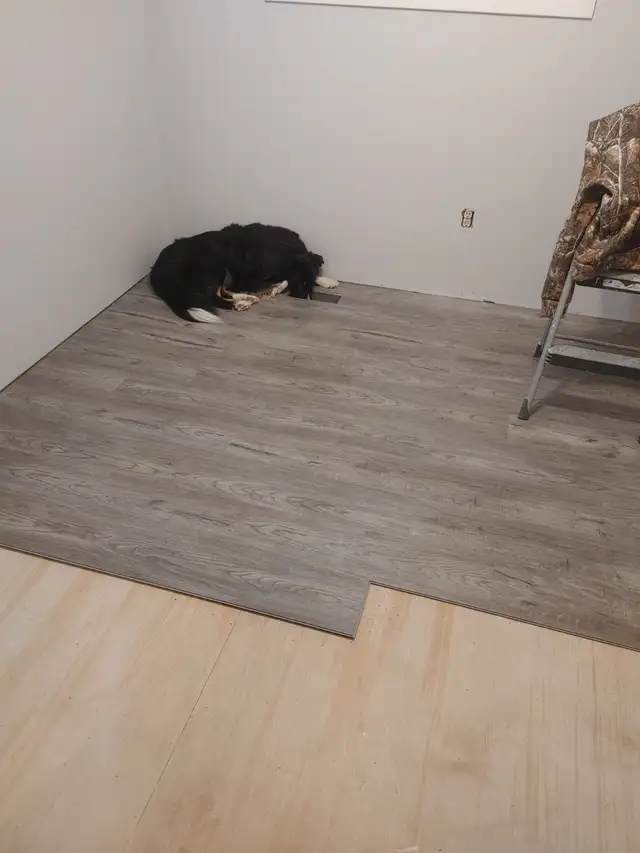 Professional painter for hire.64722633709955120