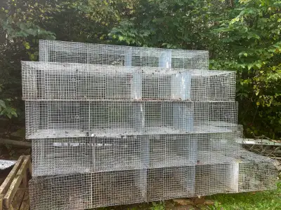 Ensembles de cages pour élevage de lapins – solides et pratiques, View more