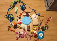 Assorted Dog Toys (Used)