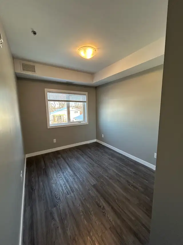 Painter Taper 65619850675457121