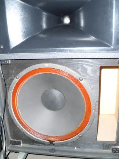 Traynor BW1-200W-RMS-Passive 8 ohm Speaker-RHill-$155-4165504186, View more