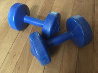 Pair of Exercise Dumbbells