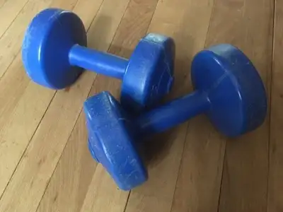dumbbell in Exercise Equipment in Nova Scotia Kijiji Marketplaces