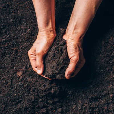 HORSE MANURE AGED COMPOSTED HORSE MANURE BULK *ORGANIC FARMING*, View more