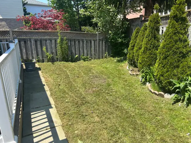 same day lawn service !  in Lawn, Tree Maintenance & Eavestrough in City of Toronto - Image 4