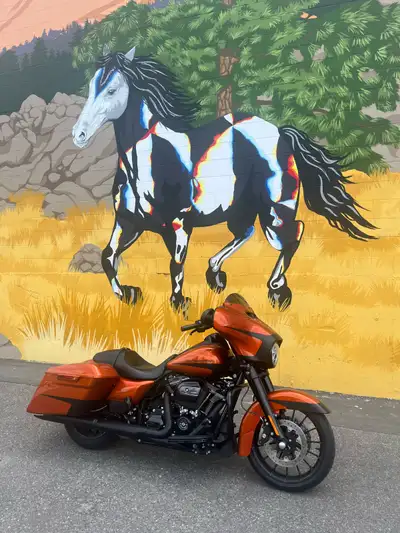 Check out this 2019 Harley-Davidson Street Glide Special, a real head-turner with its custom orange...
