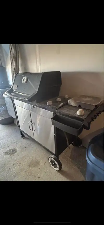 Weber Silver Natural Gas Grill with Side Burner.