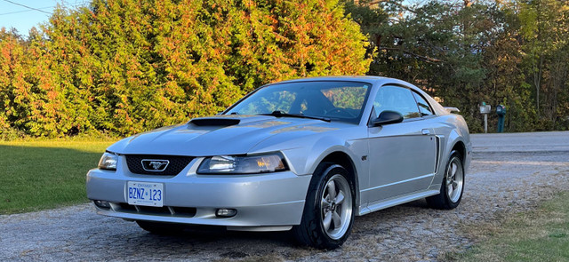 2001 Ford Mustang GT manual in Cars & Trucks in Barrie - Image 2