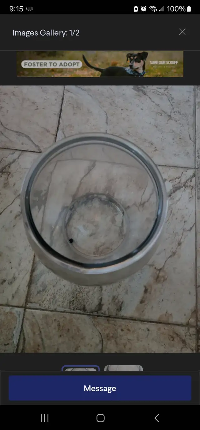 Used Anchor Hocking Glass Footed Fish Bowl in Fish for Rehoming in Oshawa / Durham Region - Image 3