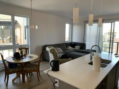 Spacious Condo for Rent - 65 Rue Nancy Elliott