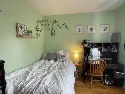 2 bedrooms for rent on Larch street 5 minute walk from Dalhousie and 15 from SMU. Living with two ot...