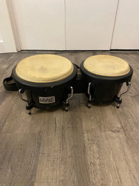 Bongos percussions