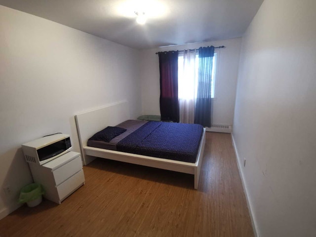 Chambre à louer — photo 2