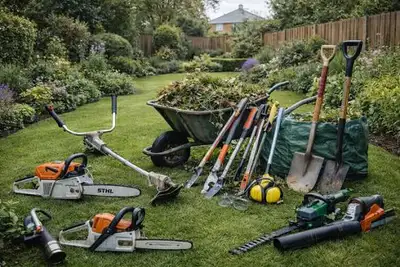 Summer clean ups service. Backyard cleaning and maintenance., View more