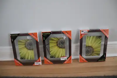 Encadrements  neufs en bois, plusieurs formats, View more