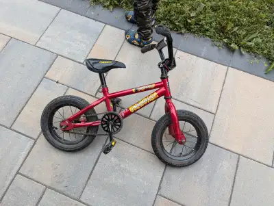 I have training wheels as well, if needed