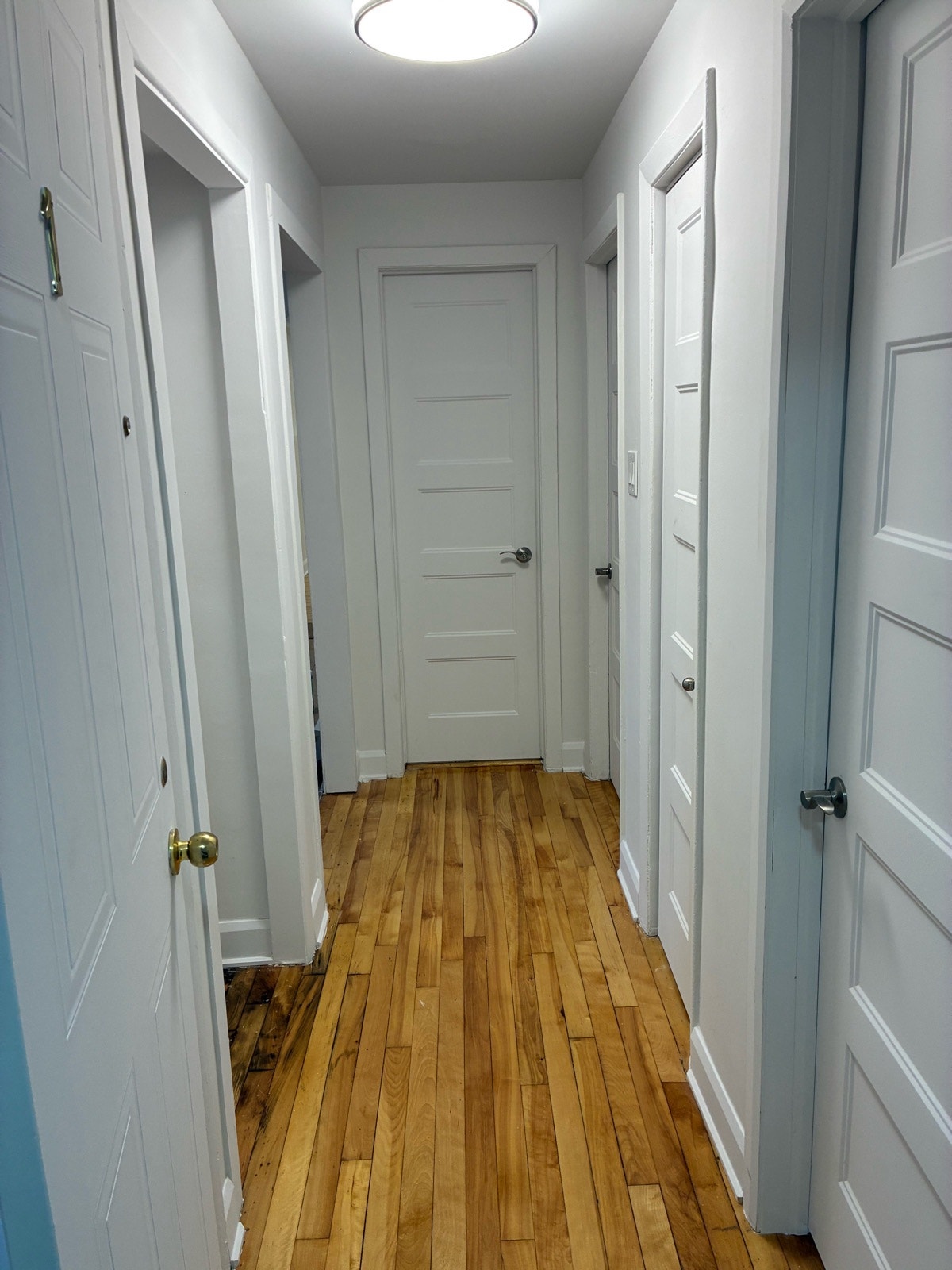 5 1/2 à louer ahuntsic — photo 2