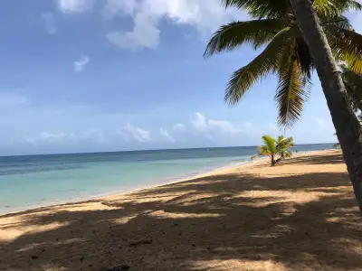 Monserrat II Luxury 2 Bedroom Apt, Las Terrenas $125 USD/night, View more