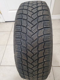 195/65/15 winter tire