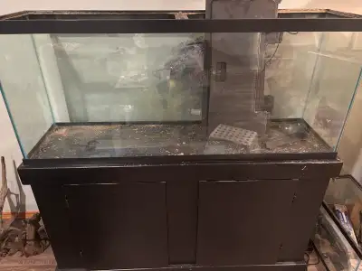55 gallon aquarium with stand.