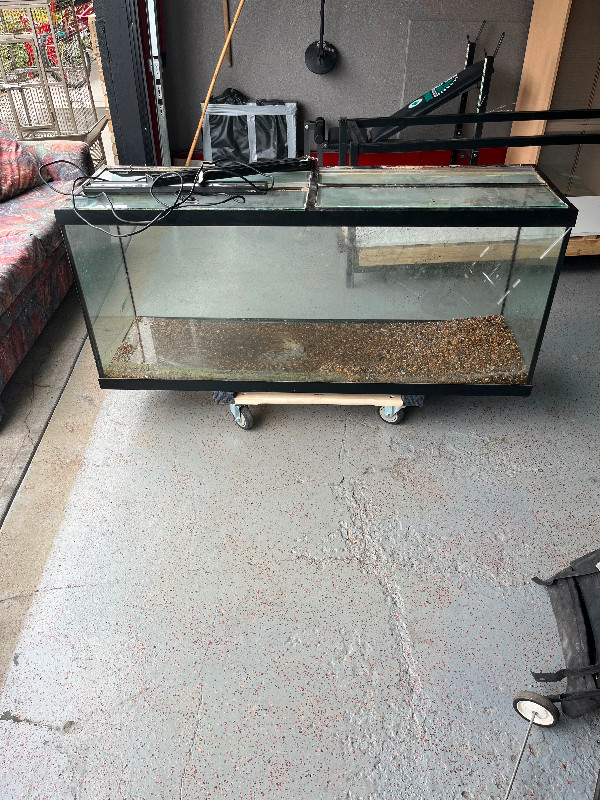 120gal Aquarium With Stand in Accessories in Calgary