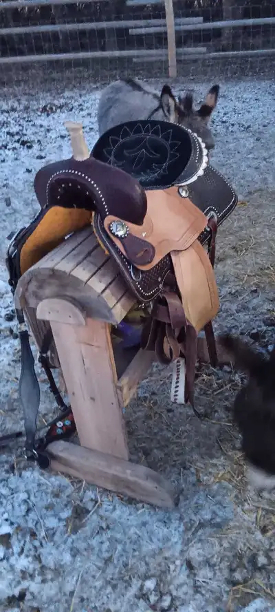 barrel saddle, View more