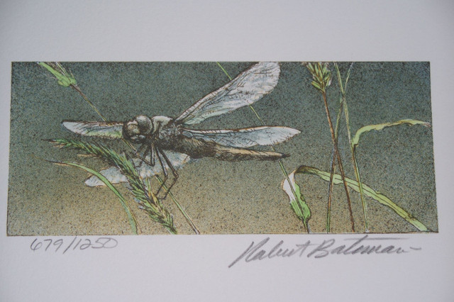Bateman "Day Lilies and Dragonflies" LE 2 pc Set in Arts & Collectibles in Peterborough - Image 3