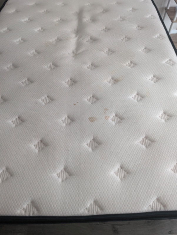 Queen Mattress and Box Spring for Sale - Price negotiable in Beds & Mattresses in Downtown-West End - Image 3