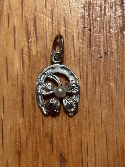 Sterling Silver Good Luck Charm, View more