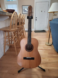 Nick Apollonio custom made 12-String Guitar