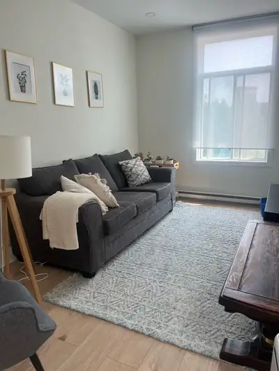 two bedroom apartment/ 4 1/2