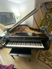 Young Chang G-208C: 6'10" Grand Piano - Beautifully Kept!