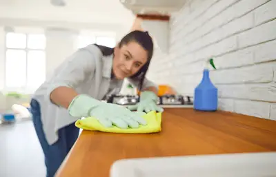 Trusted House Cleaning | $30hr | Mississauga & GTA, View more
