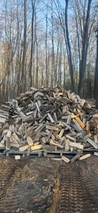Green Hardwood firewood 