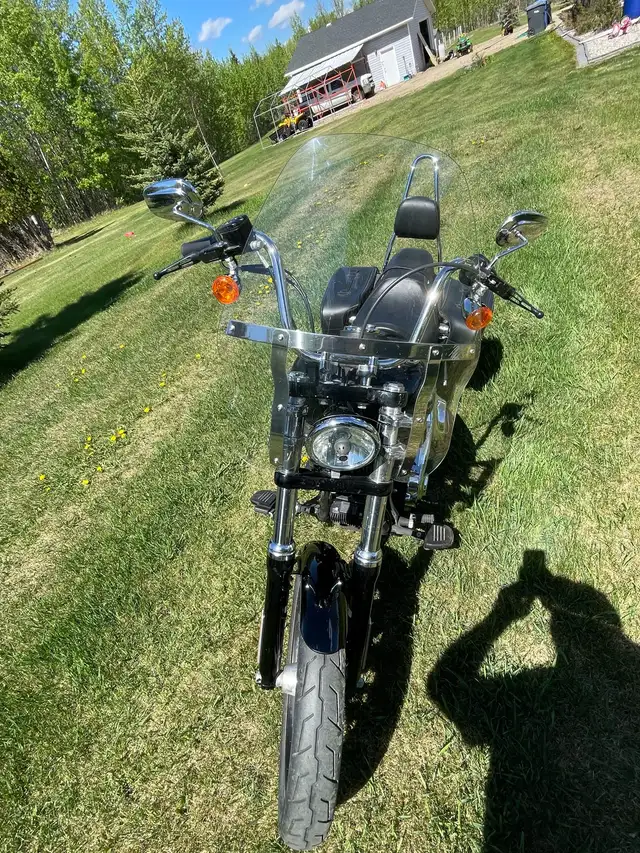 2013 Harley Davidson Street Bob in Street, Cruisers & Choppers in Edmonton - Image 5