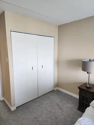1 br furnished apartment Polo Park