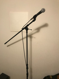 Mic with Stand