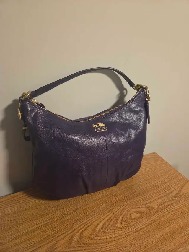 Coach Leather Hobo Bag