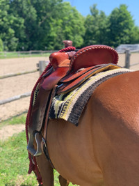 15” Dakota roping saddle