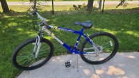 Carrera Legacy 18 speed mountain bike