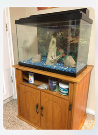 AQUARIUM FOR SALE - Pickering 