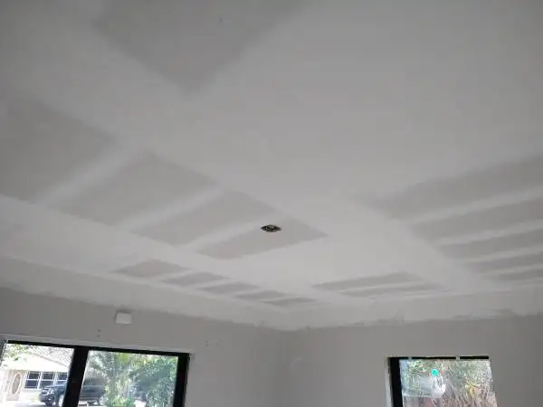 Drywall finisher 26 years. Ceiling wall systems.601862521917941766