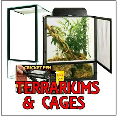 HOLIDAY'S SALE UP TO 75% OFF AQUARIUM ,REPTILES,SMALL ANIMALS !!, View more