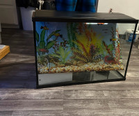 29 gallon tank with extras read below