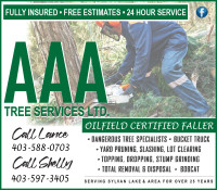 AAA-1 Tree Service and Custome Fencing