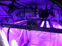 Rayonled 720w pro grow light