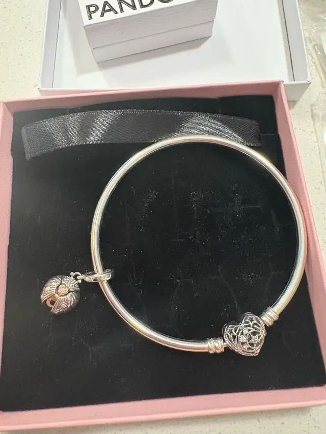 New Pandora Celestial Heart Clasp Bangle & Ladybird 2022 Heart62863736896513121