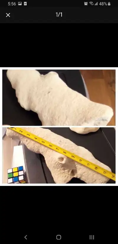 Large piece of coral weighs 9.5lbs and measures 14 inches, View more