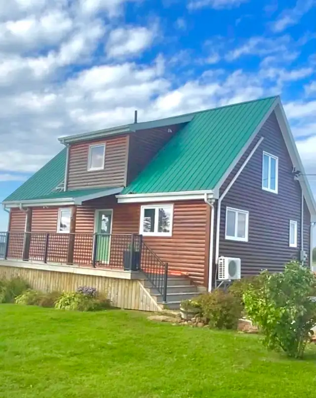 pro Painter - Semi Retired 531194423207546889