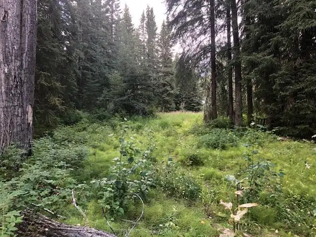 Lot for Sale in Rock Creek in Land for Sale in Whitehorse - Image 10